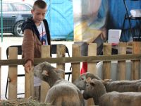 II Parafialne Święto Młodych